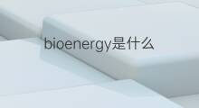 bioenergy是什么意思 bioenergy的中文翻译、读音、例句