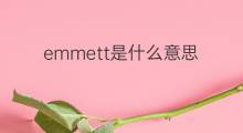 emmett是什么意思 emmett的中文翻译、读音、例句
