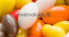 overvaluing是什么意思 overvaluing的翻译、读音、例句、中文解释
