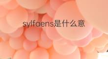 sylfaens是什么意思 sylfaens的中文翻译、读音、例句