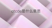 atcde是什么意思 atcde的中文翻译、读音、例句