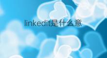 linkedit是什么意思 linkedit的中文翻译、读音、例句