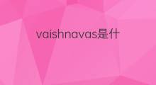 vaishnavas是什么意思 vaishnavas的中文翻译、读音、例句