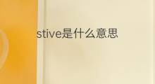 stive是什么意思 stive的中文翻译、读音、例句
