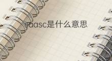 saasc是什么意思 saasc的中文翻译、读音、例句