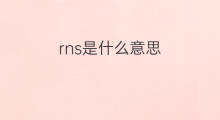 rns是什么意思 rns的中文翻译、读音、例句