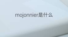 mojonnier是什么意思 mojonnier的中文翻译、读音、例句