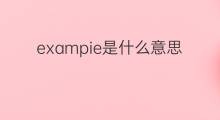 exampie是什么意思 exampie的中文翻译、读音、例句