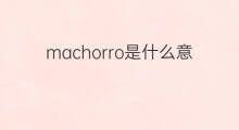 machorro是什么意思 machorro的翻译、读音、例句、中文解释