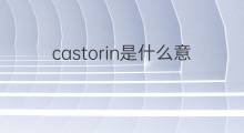 castorin是什么意思 castorin的中文翻译、读音、例句