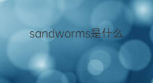 sandworms是什么意思 sandworms的中文翻译、读音、例句