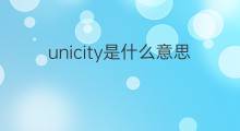unicity是什么意思 unicity的中文翻译、读音、例句