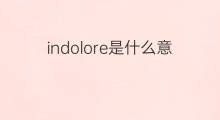 indolore是什么意思 indolore的中文翻译、读音、例句