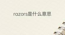 razors是什么意思 razors的中文翻译、读音、例句