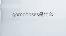 gomphoses是什么意思 gomphoses的中文翻译、读音、例句