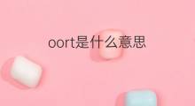 oort是什么意思 oort的中文翻译、读音、例句