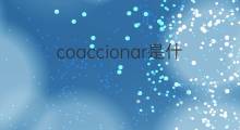 coaccionar是什么意思 coaccionar的中文翻译、读音、例句