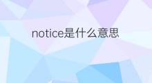 notice是什么意思 notice的中文翻译、读音、例句