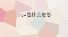 nrsv是什么意思 nrsv的中文翻译、读音、例句