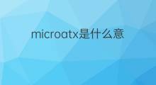 microatx是什么意思 microatx的中文翻译、读音、例句