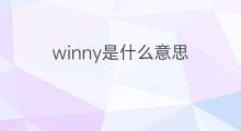 winny是什么意思 winny的中文翻译、读音、例句