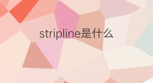 stripline是什么意思 stripline的中文翻译、读音、例句