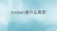 treiben是什么意思 treiben的中文翻译、读音、例句
