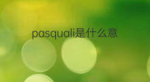 pasquali是什么意思 pasquali的中文翻译、读音、例句