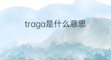 traga是什么意思 traga的中文翻译、读音、例句