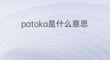patoka是什么意思 patoka的中文翻译、读音、例句