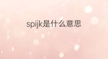spijk是什么意思 spijk的翻译、读音、例句、中文解释