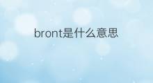 bront是什么意思 bront的中文翻译、读音、例句