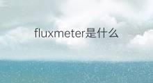 fluxmeter是什么意思 fluxmeter的中文翻译、读音、例句