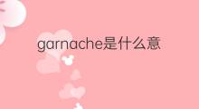 garnache是什么意思 garnache的翻译、读音、例句、中文解释