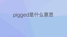 pigged是什么意思 pigged的中文翻译、读音、例句