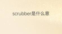 scrubber是什么意思 scrubber的中文翻译、读音、例句