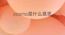 cosmo是什么意思 cosmo的中文翻译、读音、例句