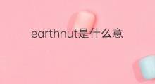 earthnut是什么意思 earthnut的中文翻译、读音、例句