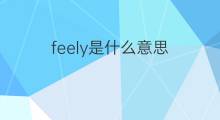 feely是什么意思 feely的翻译、读音、例句、中文解释