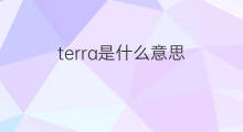 terra是什么意思 terra的中文翻译、读音、例句