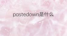 pastedown是什么意思 pastedown的中文翻译、读音、例句