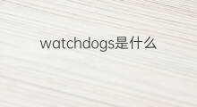 watchdogs是什么意思 watchdogs的中文翻译、读音、例句