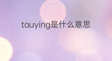 tauying是什么意思 tauying的中文翻译、读音、例句