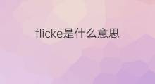 flicke是什么意思 flicke的翻译、读音、例句、中文解释