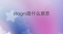 stagni是什么意思 stagni的中文翻译、读音、例句