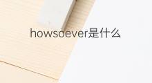 howsoever是什么意思 howsoever的中文翻译、读音、例句