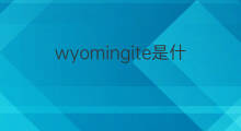 wyomingite是什么意思 wyomingite的中文翻译、读音、例句