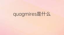 quagmires是什么意思 quagmires的翻译、读音、例句、中文解释