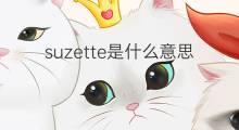 suzette是什么意思 suzette的中文翻译、读音、例句