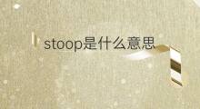 stoop是什么意思 stoop的中文翻译、读音、例句